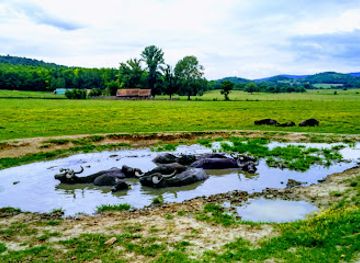 hungary/balaton-uplands/attraction/salfold-major