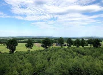 denmark/mollehoj/attraction/them-bavnehoj