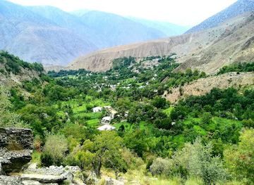 pakistan/chitral/attraction/domoon-valley