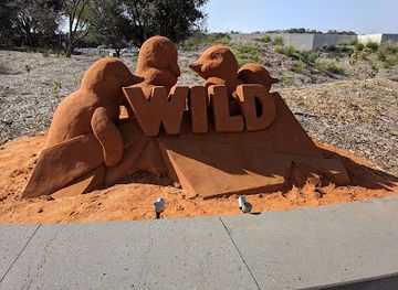 australia/northern-victoria/attraction/penguin-parade