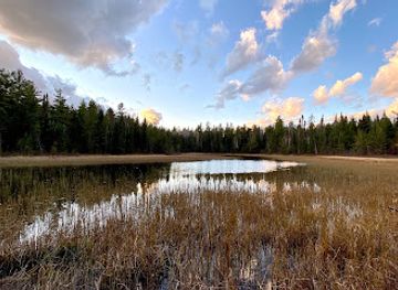 minnesota/gunflint-trail/attraction/moose-viewing-trailhead
