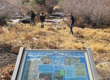 colorado/vail/attraction/breckenridge-alpine-garden