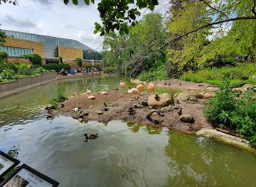 minnesota/minnesota-river-valley/attraction/como-park-zoo-conservatory