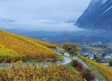 switzerland/crans-montana/attraction/musee-du-vin-sierre-valais