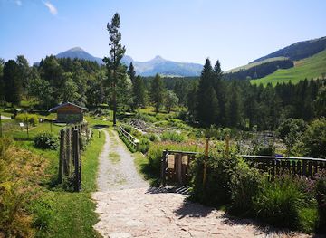 italy/trentino/attraction/giardino-botanico-alpino-viote
