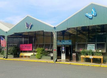 massachusetts/mohawk-trail/attraction/magic-wings-butterfly-conservatory