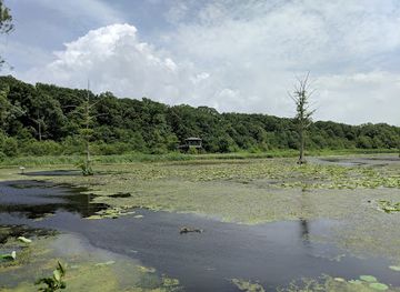 mississippi/the-yazoo-basin/attraction/yazoo-national-wildlife-refuge