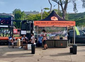 puerto-rico/culebra/attraction/puerto-rico-bio-bay-tours-llc