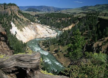 wyoming/yellowstone-national-park/attraction/tower-fall