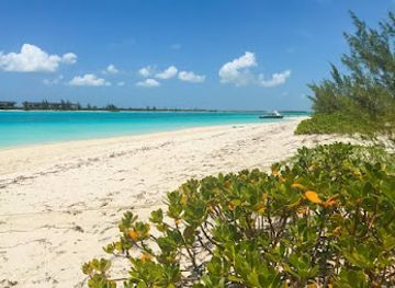 turks-and-caicos-islands/north-caicos/attraction/wild-cow-run-beach