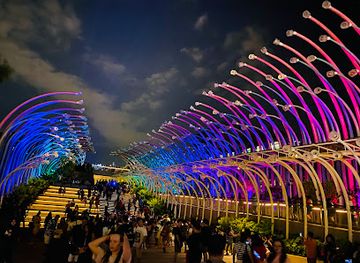 singapore/sentosa/attraction/glow-garden