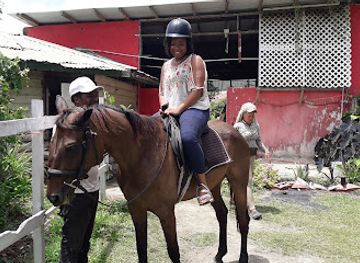barbados/saint-philip/attraction/ride-barbados