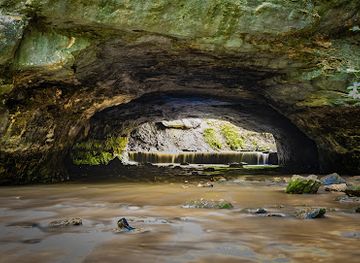 missouri/current-river/attraction/rock-bridge-memorial-state-park