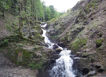 romania/bihor/attraction/cascada-padurea-neagra