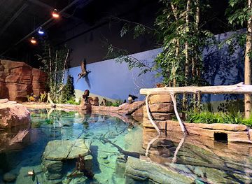 new-hampshire/white-mountains/attraction/living-shores-aquarium