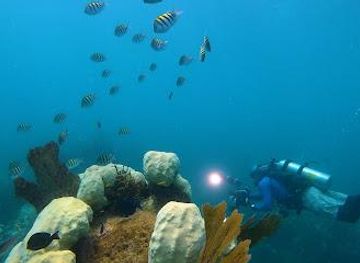 florida/key-west/attraction/looe-key