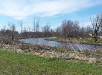 iowa/iowa-city/attraction/whispering-meadows-wetlands