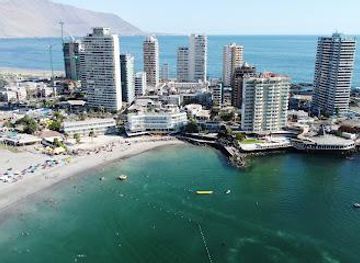 chile/iquique/attraction/playa-cavancha