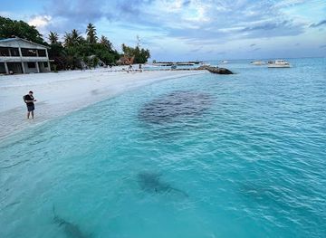 maldives/fulidhoo/attraction/stingray-observation-point