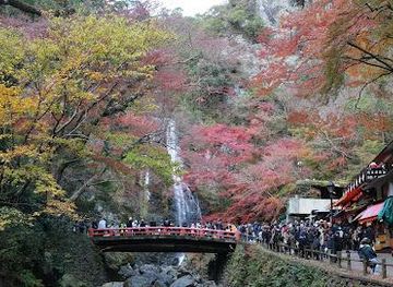 japan/nara/attraction/minoh-national-park