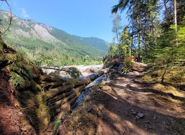 washington/mount-rainier-area/attraction/carbon-river-rainforest-trail