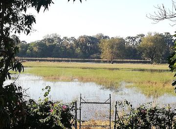 botswana/maun/attraction/schabs-island