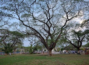 colombia/cesar-department/attraction/algarrobillos-park
