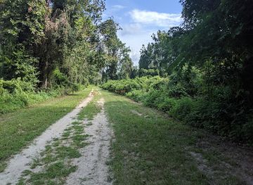 virginia/great-dismal-swamp-national-wildlife-refuge/attraction/dismal-swamp-trail