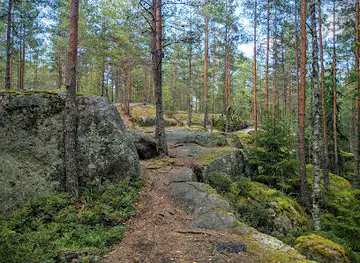 Kaarniaispolku