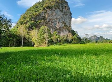 malaysia/perlis/attraction/bukit-jernih-perlis