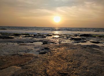 sri-lanka/gampaha-district/attraction/dungalpitiya-beach