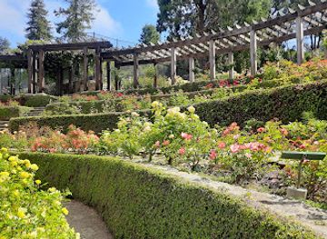 california/east-bay/attraction/berkeley-rose-garden