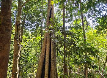 malaysia/redang-island/attraction/jungle-trekking