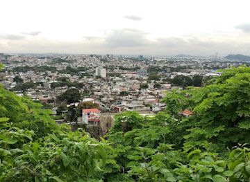 ecuador/guayaquil/attraction/bosque-seco-protector-cerro-paraiso