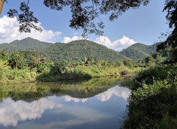 thailand/lanna/attraction/happy-elephant-home