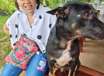 thailand/surat-thani/attraction/lotus-garden-home