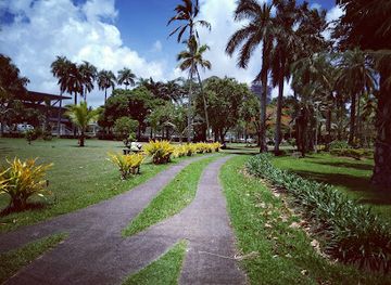 fiji/beqa-island/attraction/thurston-gardens