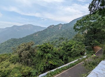 india/tamil-nadu/attraction/tree-view-point