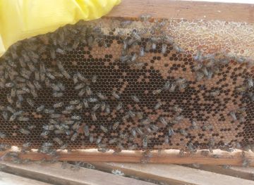 brazil/chapada-dos-guimaraes-national-park/attraction/apiario-fecho-do-morro