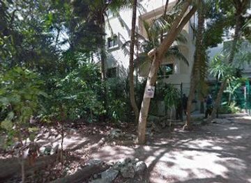 mexico/playa-del-carmen/downtown-playa-del-carmen/attraction/playa-del-carmen-quinta-avenida