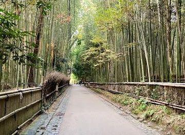 japan/osaka/attraction/arashiyama-bamboo-forest