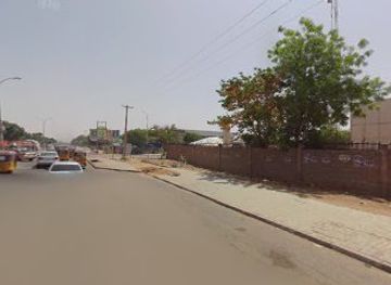 nigeria/kano/attraction/sequencials-gardens