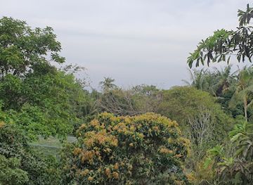 cambodia/kep/attraction/kep-butterfly-garden