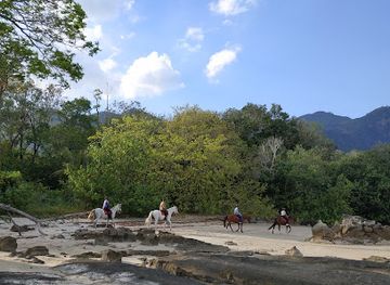 malaysia/kedah/attraction/teluk-burau