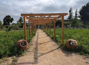 chile/rancagua/attraction/campo-la-quirinca