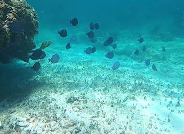 the-bahamas/rum-cay/attraction/rum-cay-seaside-park