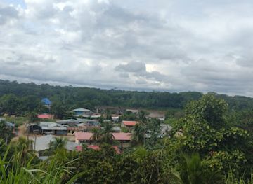 peru/tambopata-national-reserve/attraction/parque-de-la-juventud