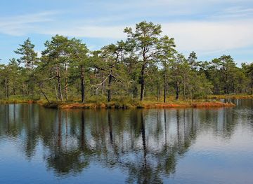 sweden/smaland/attraction/knuthojdsmossen
