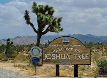 california/joshua-tree/attraction/murtle-the-turtle-sculpture