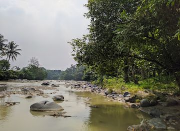 indonesia/west-java/attraction/deer-captivity-tanjungsari-jonggol